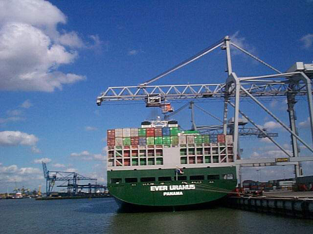 Un'operazione di carico e scarico container nel porto di Rotterdam