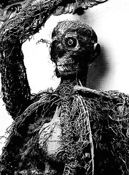 La macchina anatomica della donna