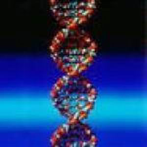 Il DNA