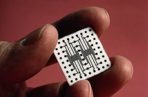 Un esempio di microchip